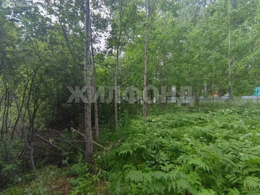 Участок в Новосибирск, СНТ Черёмушки (12 м) - Фото 0