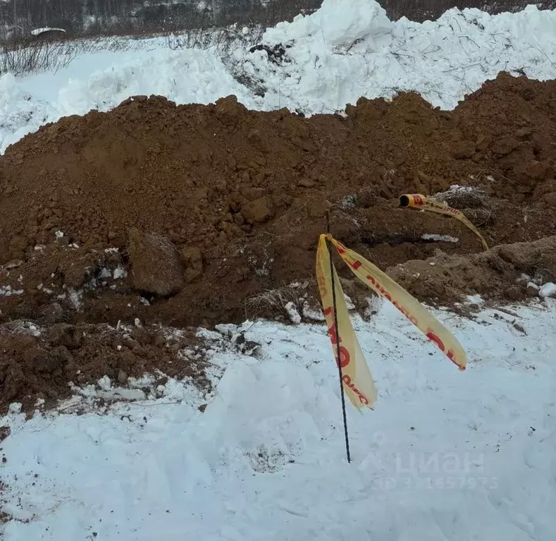 Участок в Нижегородская область, Богородский муниципальный округ, д. ... - Фото 2