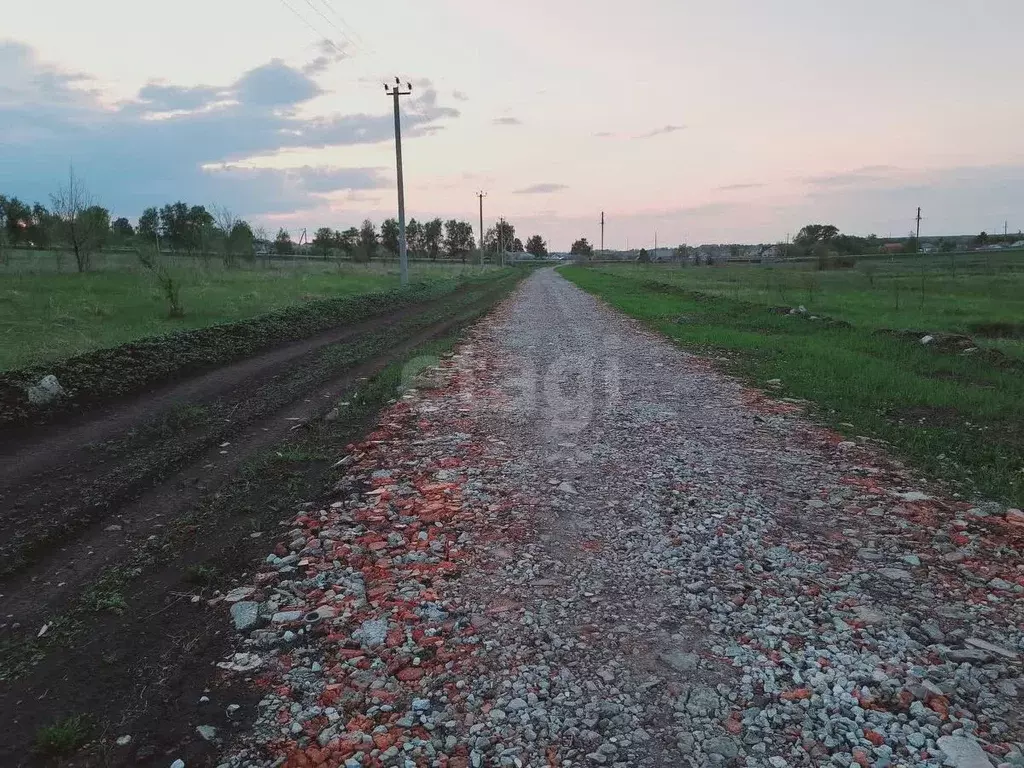 Участок в Саратовская область, Балашовский район, Хоперское ... - Фото 1