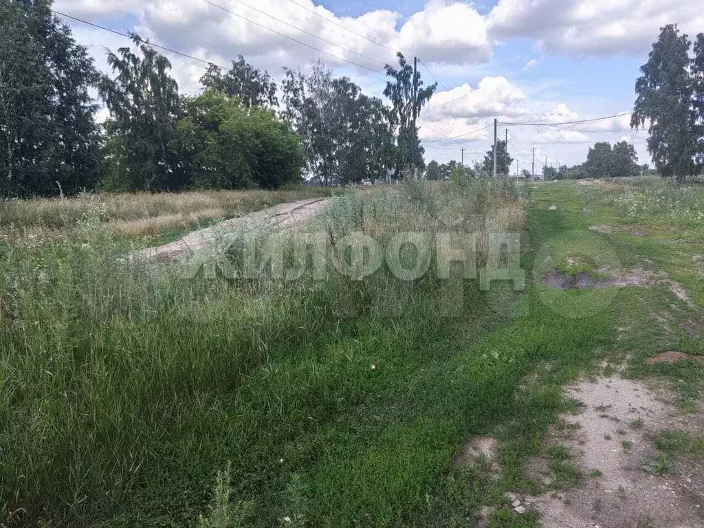 Участок 12 сот. (СНТ, ДНП) - Фото 1