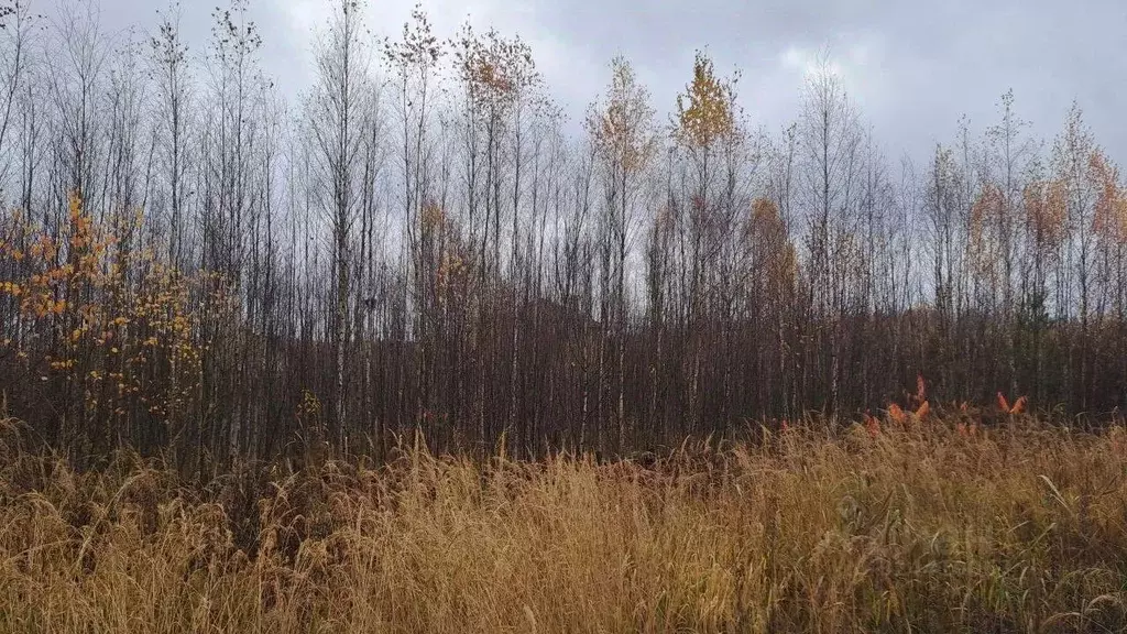 Участок в Московская область, Дубна Стела ПОИЗ,  (9.28 сот.) - Фото 1