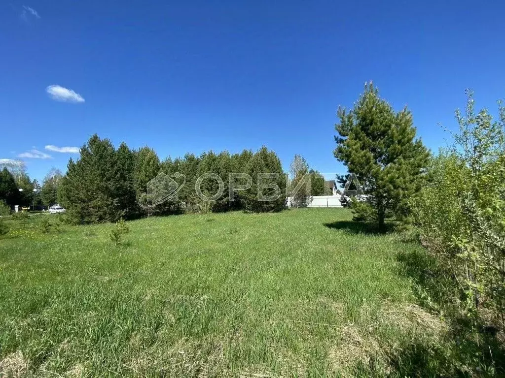 Участок в Тюменская область, Тюменский муниципальный округ, с. ... - Фото 1