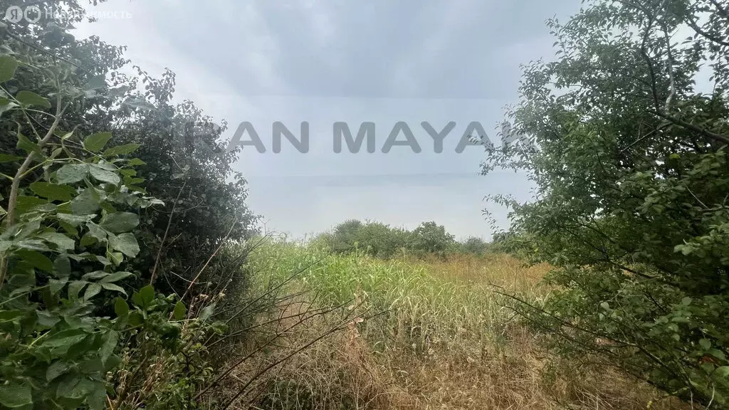 Участок в Северо-Восточные Сады, улица Суворова, 15 (25 м) - Фото 1