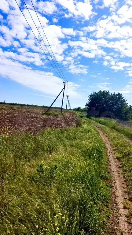 Участок 4,3 сот. (СНТ, ДНП) - Фото 0
