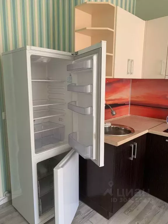 Студия Новосибирская область, Новосибирск Красный просп., 311 (30.0 м) - Фото 1