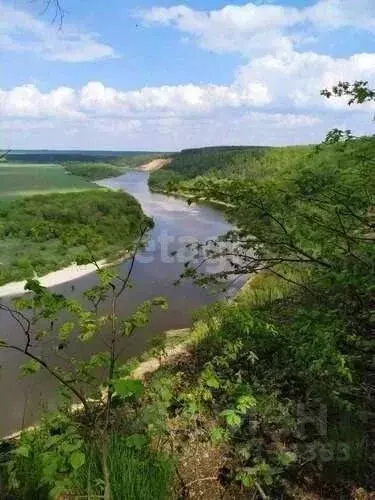 Участок в Воронежская область, Рамонский район, Горожанское с/пос, д. ... - Фото 1