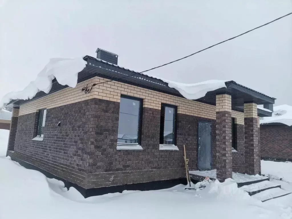 Дом в Пензенская область, с. Бессоновка, Новая Бессоновка кп  (100 м) - Фото 1