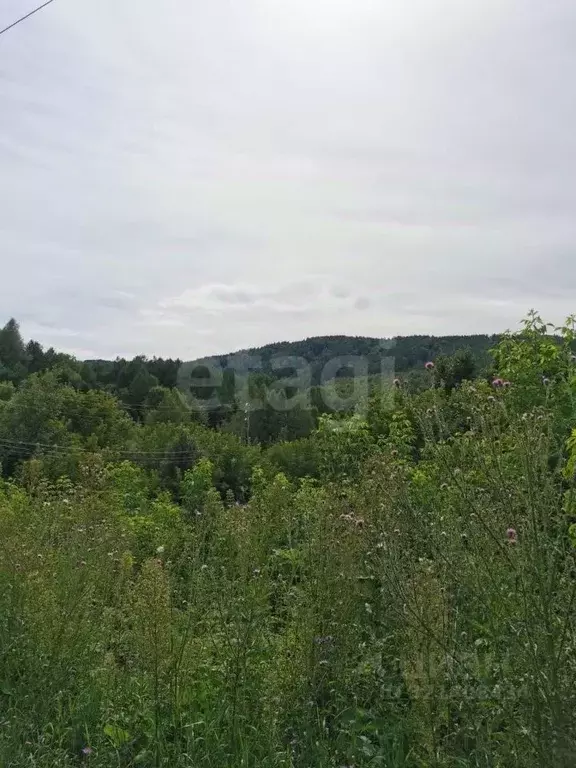 Участок в Алтайский край, Белокуриха ул. Угрюмова (65.0 сот.) - Фото 1