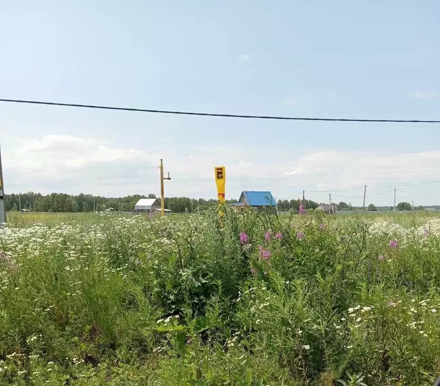 Участок в Челябинская область, Аргаяшский район, д. Акбашева ул. ... - Фото 0