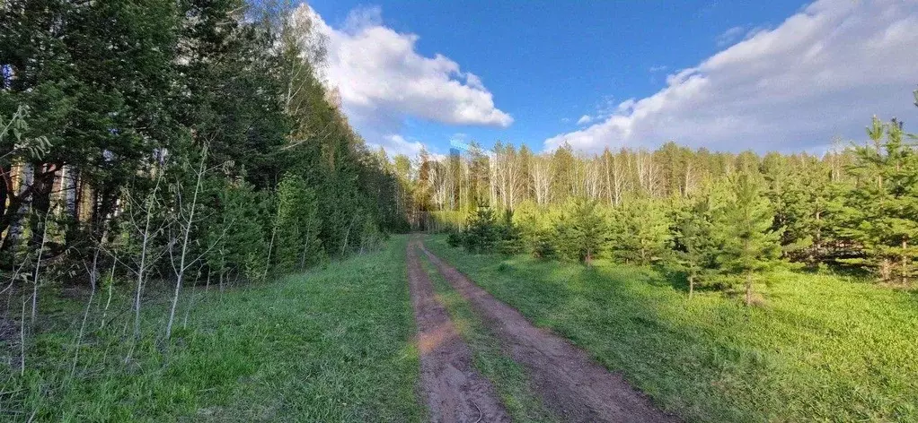 Участок, 6.2 сот., сельхоз (снт или днп) - Фото 1