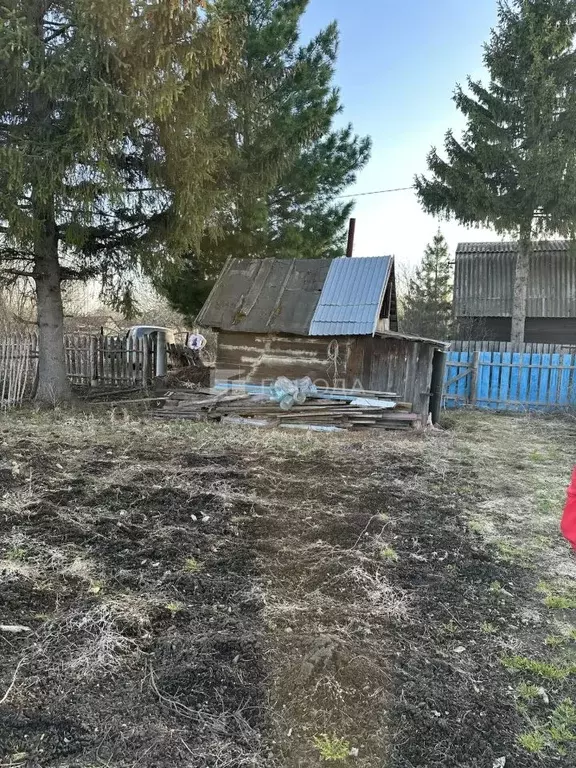 Участок в Новосибирская область, Мошковский район, Радуга-1 СТ 42 ... - Фото 1