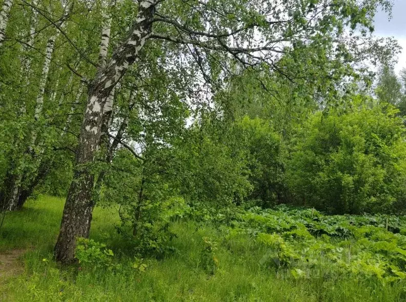 Участок в Московская область, Чехов муниципальный округ, Троицкое пгт  ... - Фото 2