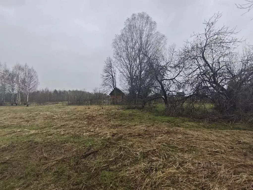 Участок в Рязанская область, Клепиковский муниципальный округ, д. ... - Фото 2