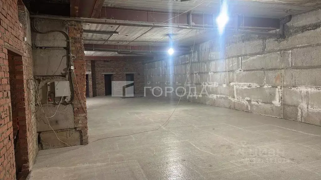 Помещение свободного назначения в Новосибирская область, Новосибирск ... - Фото 1