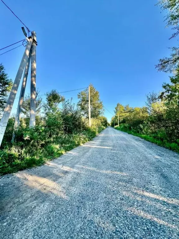 Участок в Хабаровский край, Хабаровский район, Березовая слобода кп  ... - Фото 2