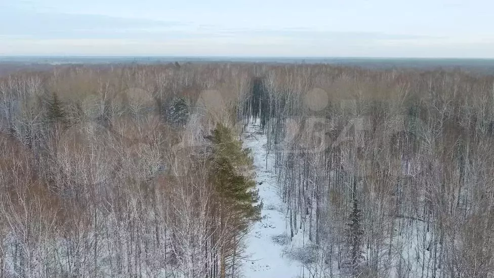Участок 9,66 га (СНТ, ДНП) - Фото 0
