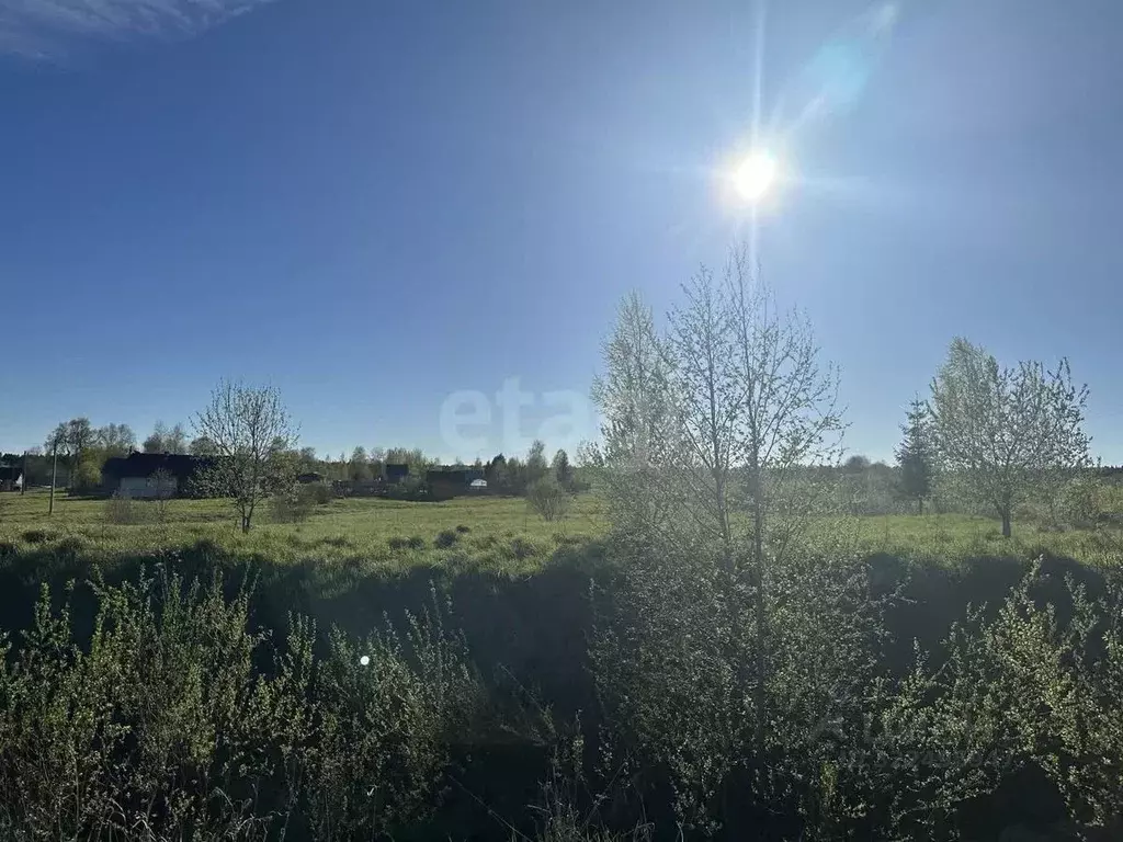 Участок в Вологодская область, д. Калинкино (Майское сельское ... - Фото 1