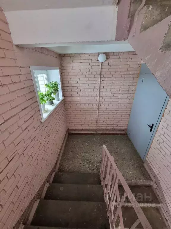 1-к кв. Чувашия, Чебоксары ул. Мичмана Павлова, 37 (37.0 м) - Фото 0