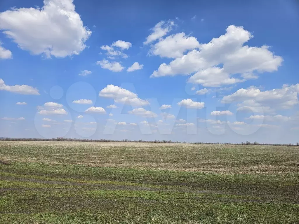 Участок 12 сот. (СНТ, ДНП) - Фото 0