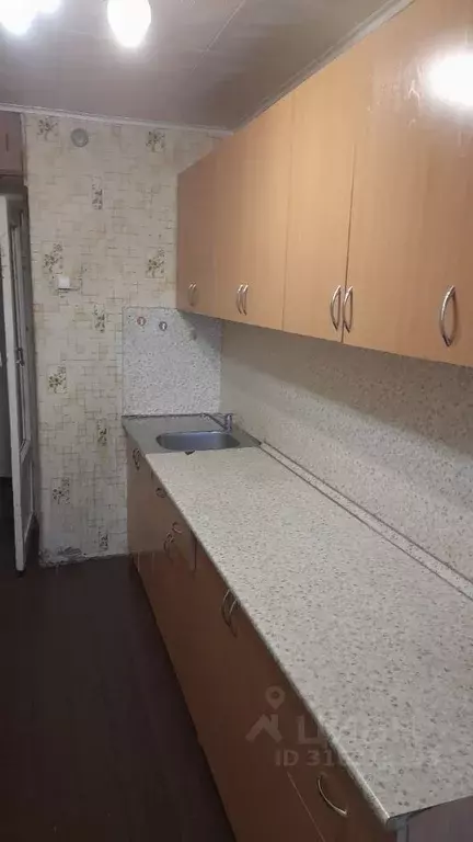 1-к кв. Алтайский край, Барнаул ул. Мамонтова, 309 (29.6 м) - Фото 1