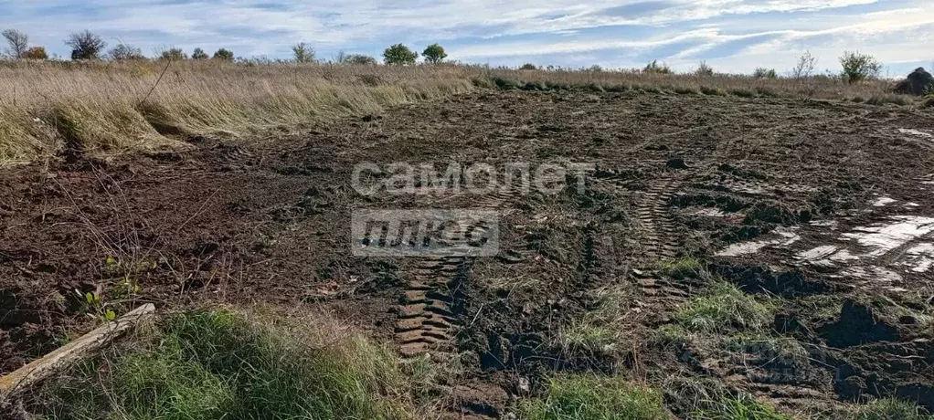 Участок в Краснодарский край, Темрюк Стимул СНТ, ул. Яблоневая (8.0 ... - Фото 1