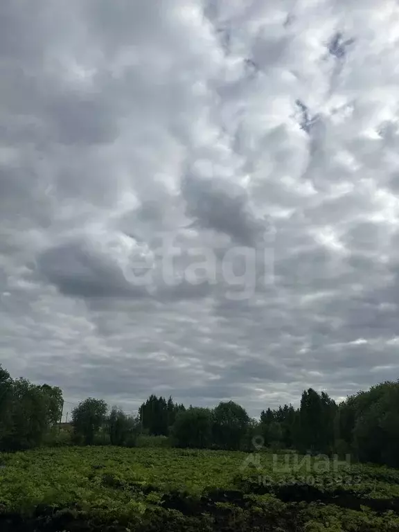 Участок в Коми, Сыктывкар пос. Холмы-3,  (8.42 сот.) - Фото 2