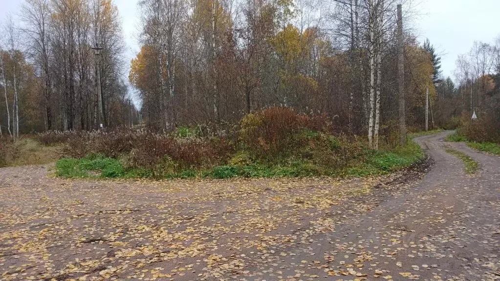 Участок в Ленинградская область, Выборгский район, Красносельское ... - Фото 1