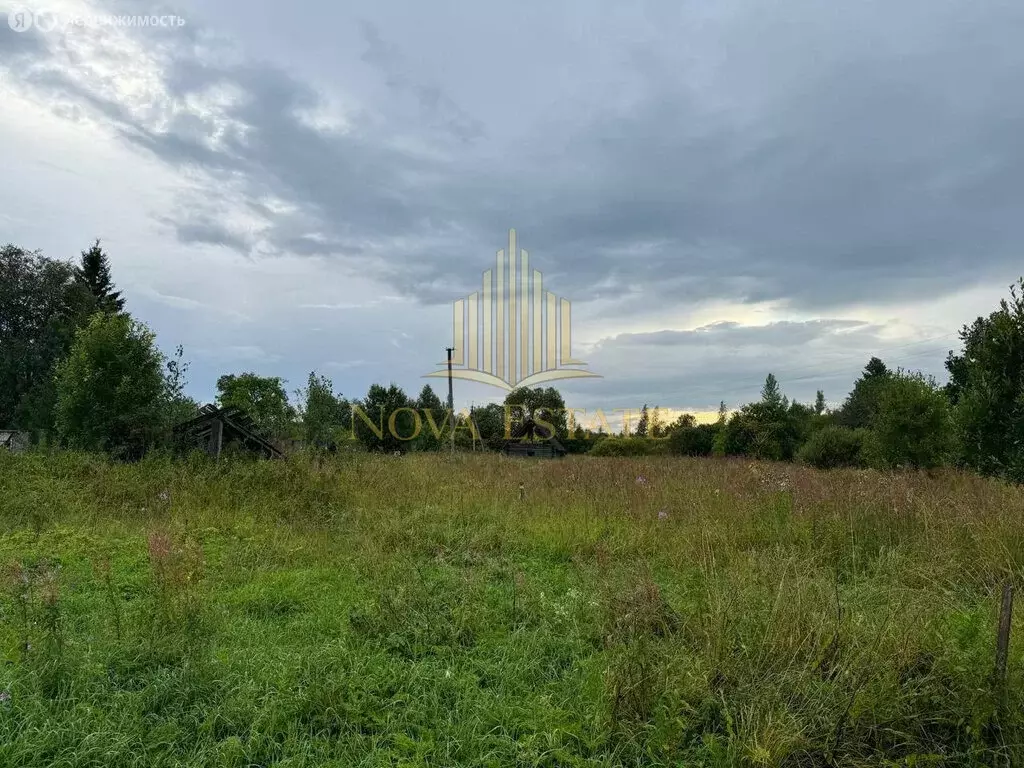 Участок в деревня Извара, 6 (43 м) - Фото 1