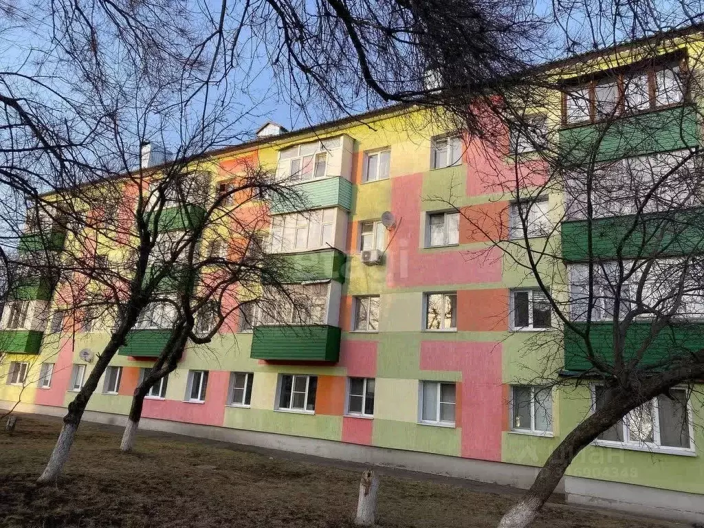 3-к кв. Белгородская область, Губкин ул. Фрунзе, 17А (55.6 м) - Фото 0