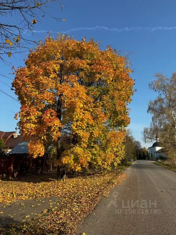 Участок в Московская область, Мытищи городской округ, д. Еремино  (6.0 ... - Фото 0