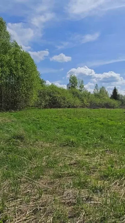 Участок в Владимирская область, Судогодский район, Головинское ... - Фото 0