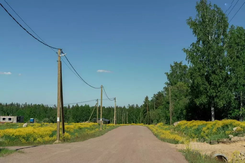 Участок в Ленинградская область, Приозерский район, пос. Сосново ул. ... - Фото 1