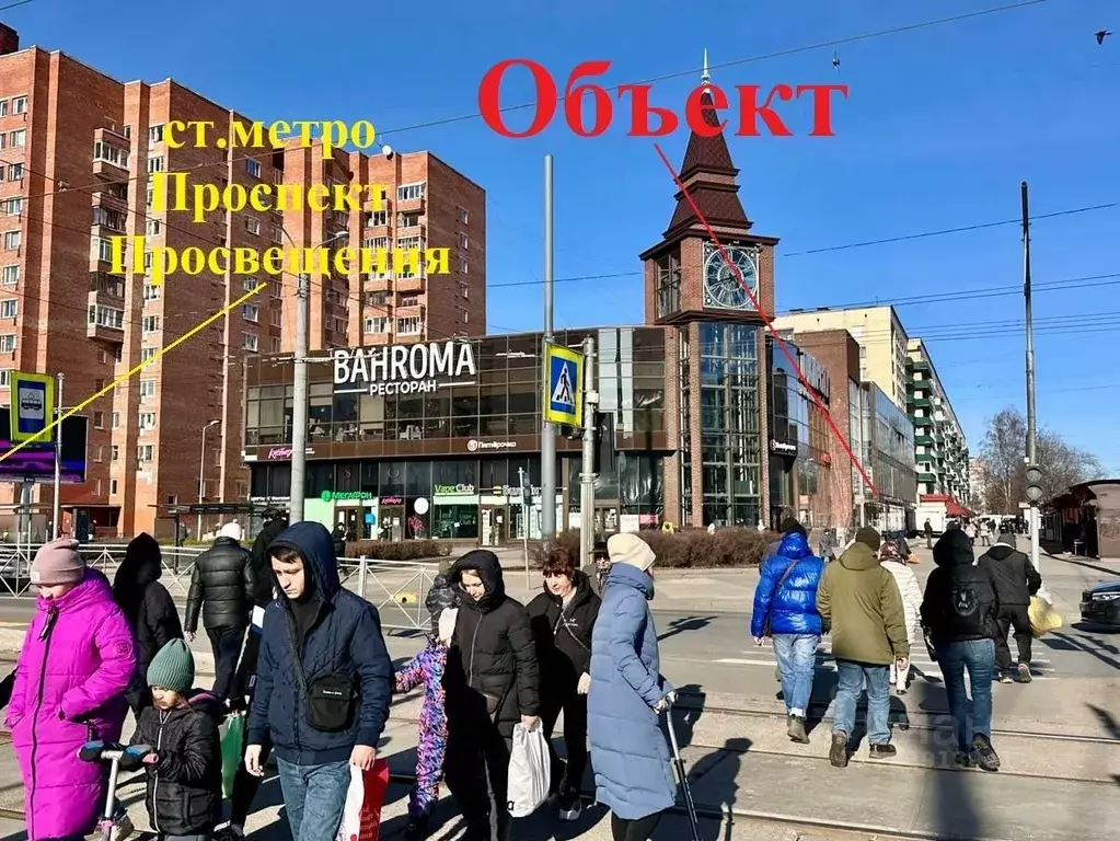 Торговая площадь в Санкт-Петербург просп. Просвещения, 48 (422 м) - Фото 0