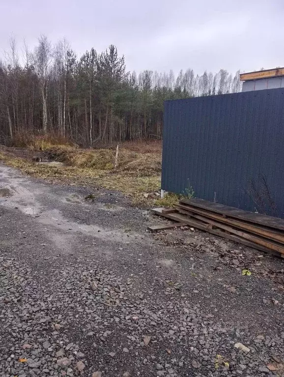 Участок в Ленинградская область, Ломоносовский район, Ропшинское ... - Фото 1