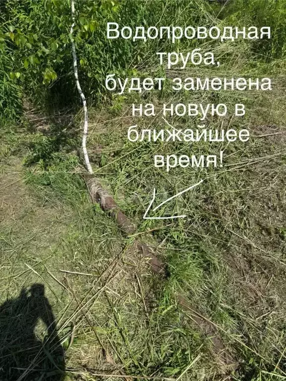 Участок в Новосибирская область, Новосибирский район, Станционный ... - Фото 1