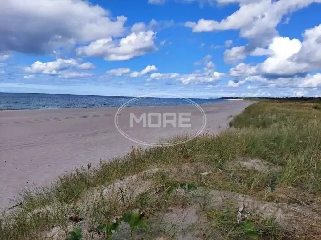 Участок в Калининградская область, Зеленоградский муниципальный округ, ... - Фото 1