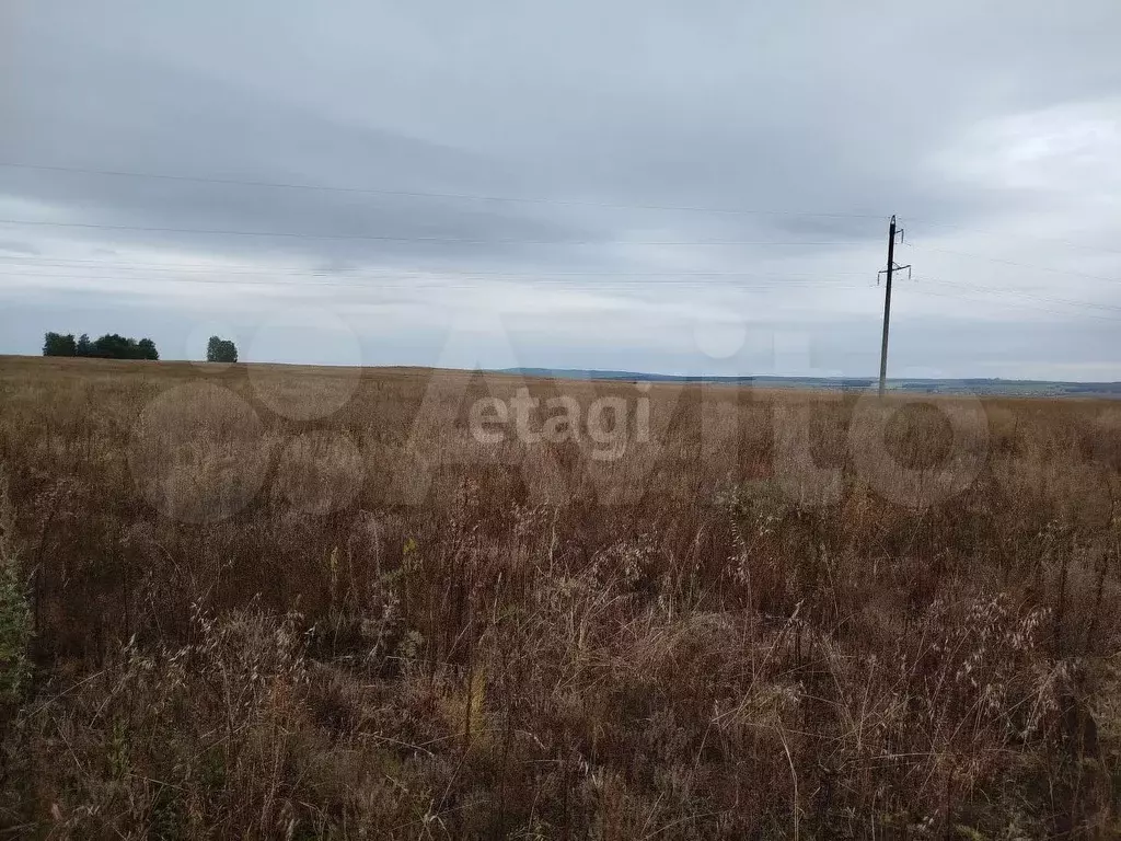 Участок 2 сот. (СНТ, ДНП) - Фото 0