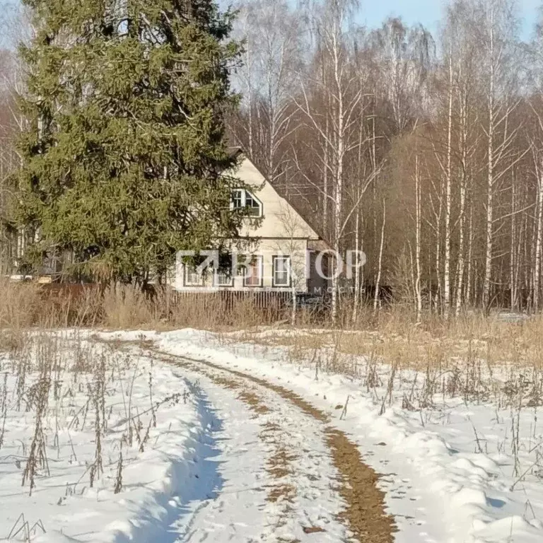 Дом в Ивановская область, Шуйский район, Афанасьевское с/пос, д. ... - Фото 2