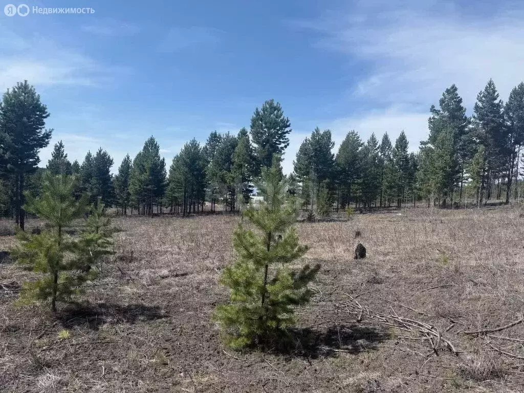 Участок в Тарбагатайский район, сельское поселение Заводское, СТ ... - Фото 1