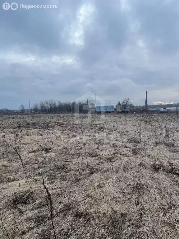 Участок в Лопухинское сельское поселение, деревня Заостровье, улица ... - Фото 0