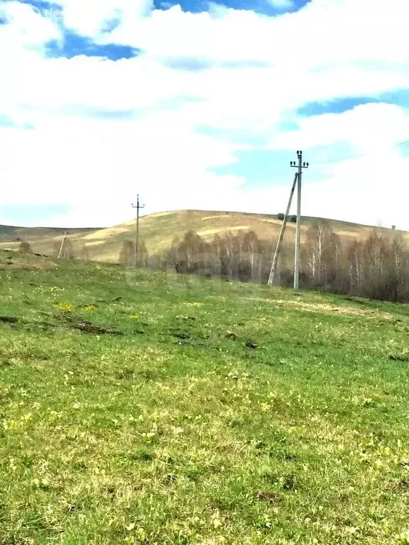 Участок в Алтайский район, ДНТ Жемчужина Алтая, Звездный бульвар (10 ... - Фото 1