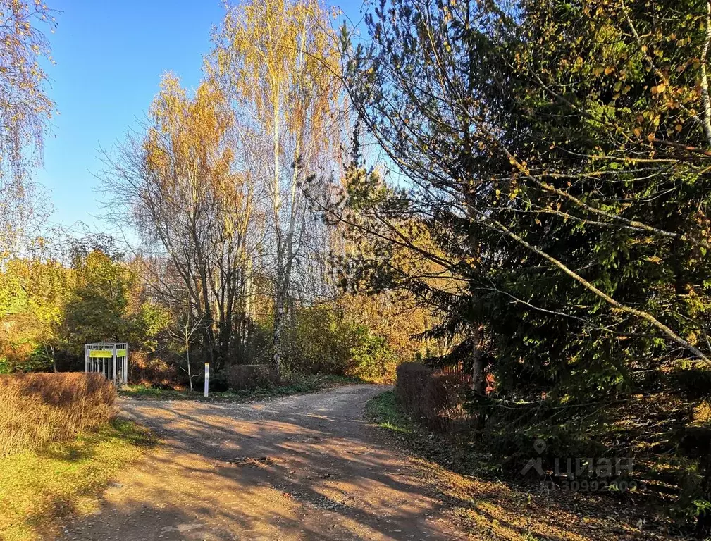 Участок в Московская область, Ступино городской округ, Михнево рп ул. ... - Фото 1