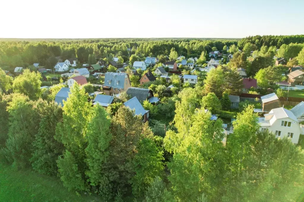 Участок в Московская область, Талдомский городской округ, Запрудня рп, ... - Фото 0