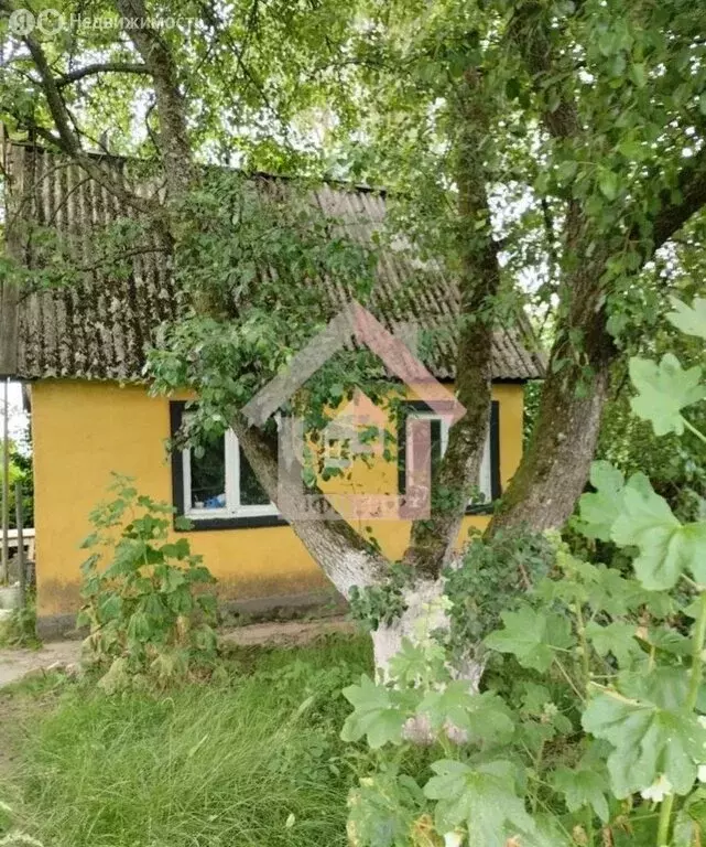 Дом в Черняховск, улица Гусевское Шоссе, 29 (30 м) - Фото 1