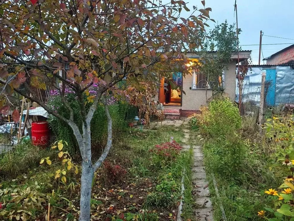 Дом в Московская область, Раменский муниципальный округ, с. Речицы ул. ... - Фото 1