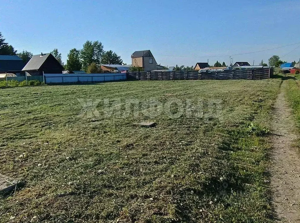 Участок в Новосибирская область, Колыванский район, Луговое СТ  (11.0 ... - Фото 1