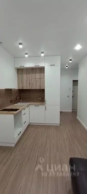 1-к кв. Новосибирская область, Новосибирск Трудовая ул., 25/1 (30.0 м) - Фото 1