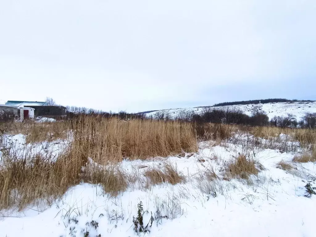 Участок в Воронежская область, Рамонский район, с. Русская Гвоздевка ... - Фото 0