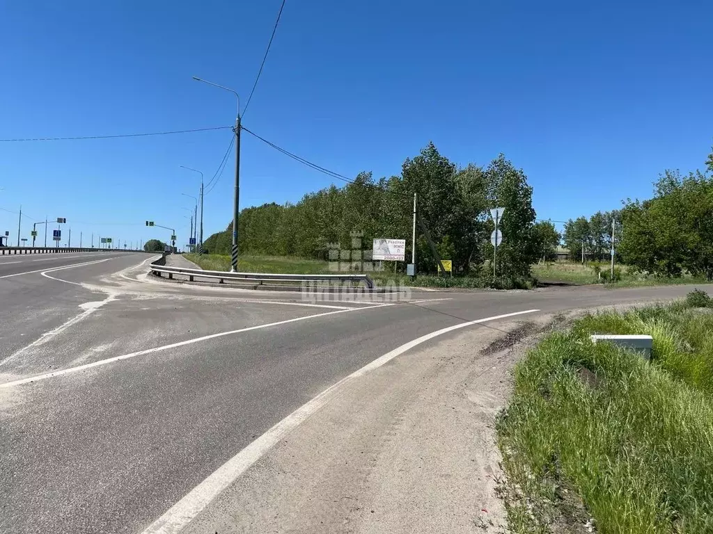 Участок в Воронежская область, Семилукский район, с. Девица ул. ... - Фото 0