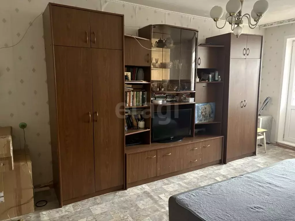 1-к кв. Воронежская область, Борисоглебск Юго-Восточный мкр, 9 (30.4 ... - Фото 1